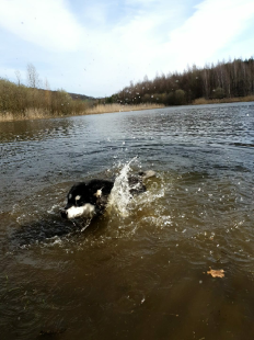 Bilder im/am Wasser