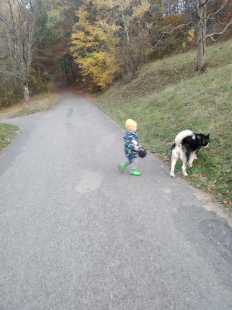 Bilder Hund u. Kind