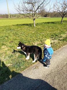Bilder Hund u. Kind