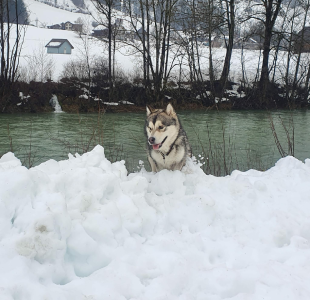 Bilder im Winter