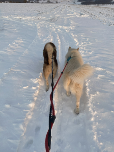 Bilder im Winter