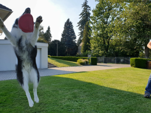 Bilder im Sommer