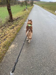 Borga