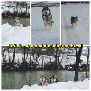 Bilder im Winter