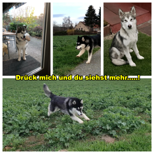 Bilder im Frühjahr