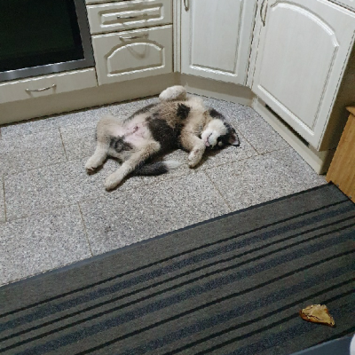 Yoga hält uns fit!