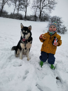 Bilder Hund u. Kind