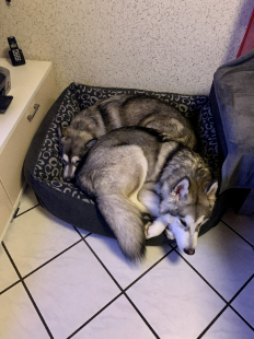 Bilder in der Wohnung