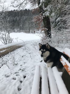 Bilder im Winter