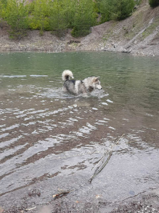 Bilder im/am Wasser
