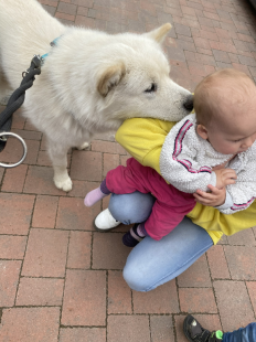 Bilder Hund u. Kind
