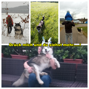Bilder Hund u. Personen
