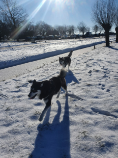 Bilder im Winter