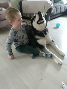 Bilder Hund u. Kind
