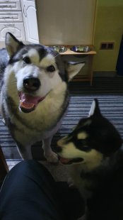 Bilder in der Wohnung