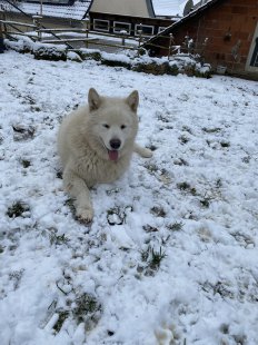 Casper