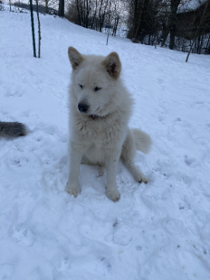 Bilder im Winter