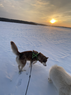 Bilder im Winter