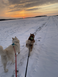 Bilder im Winter
