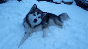 Bilder im Winter