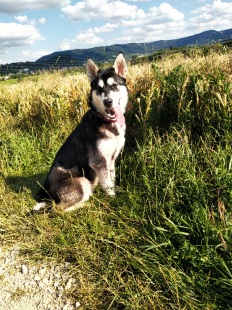 Bilder im Sommer