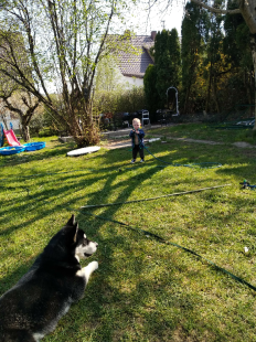 Bilder Hund u. Kind