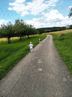Bilder Hund u. Personen