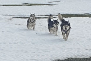 Bilder im Winter