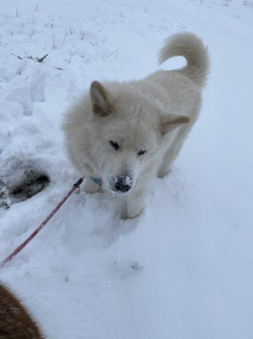 Bilder im Winter