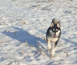 Bilder im Winter