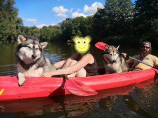 Bilder Hund u. Personen