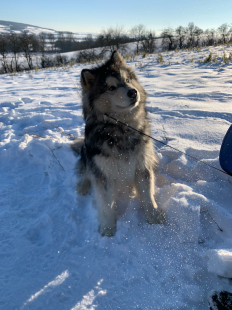 Bilder im Winter