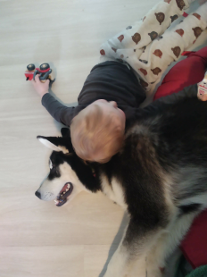 Bilder Hund u. Kind