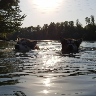Bilder im/am Wasser