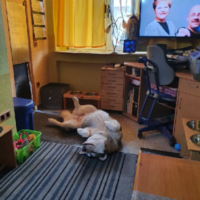 Yoga hält uns fit!