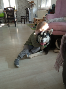 Bilder Hund u. Kind