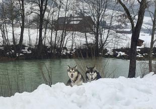 Bilder im Winter