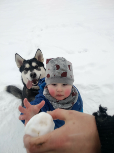 Bilder Hund u. Kind