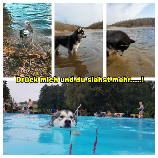 Bilder im/am Wasser