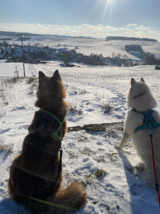 Bilder im Winter