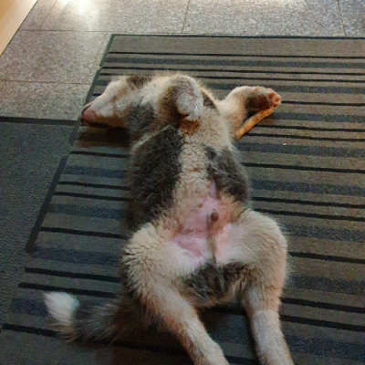 Yoga hält uns fit!