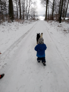 Bilder Hund u. Kind