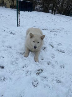 Casper