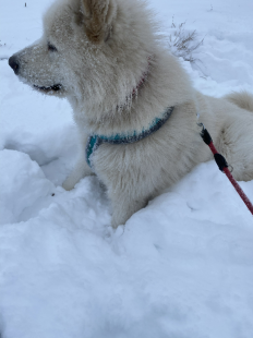 Bilder im Winter