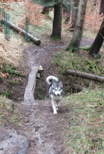 Bilder im Herbst