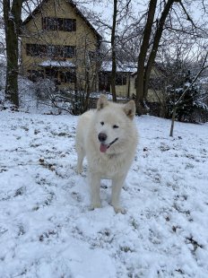 Casper