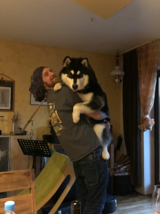Bilder in der Wohnung