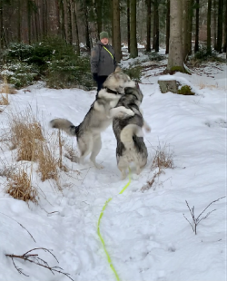 Bilder im Winter