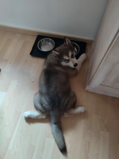 Bilder in der Wohnung