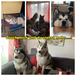 Bilder in der Wohnung
